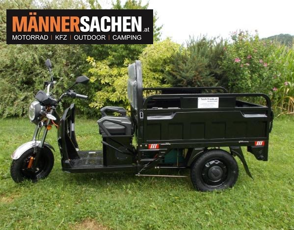 E-CARGO-L TRIKE/Lastendreirad